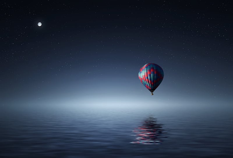 Moonlit Garden